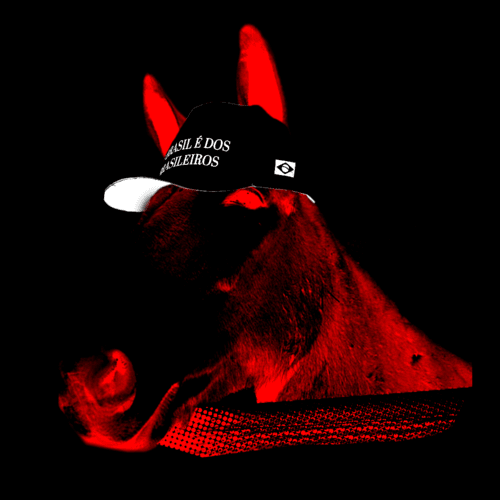 montagem de um burro usando um boné que diz: o brasil é dos brasileiros